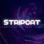 Stripcat Everything You Need To Know